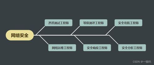 想入行網絡安全行業？別急，先看了這篇文章再說 網絡與信息安全軟件開發之路