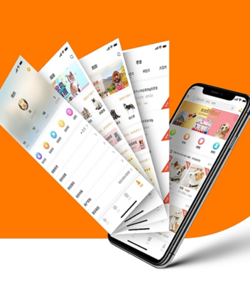 綿陽手機軟件開發,沈陽app公司