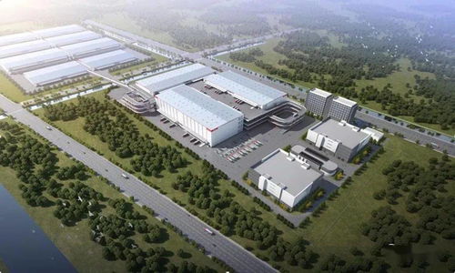 堅(jiān)持發(fā)展為先 民生為本,以熱血擔(dān)當(dāng)唱響 亭林故里 魅力金千燈