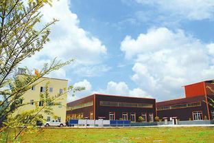 四川綠色食品原料基地?cái)?shù)量全國(guó)第二