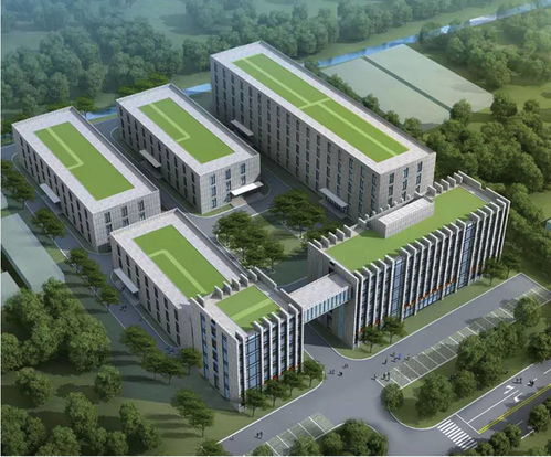 綿陽(yáng)軟件設(shè)計(jì)產(chǎn)業(yè)駛?cè)肟燔?chē)道 政策加碼與創(chuàng)新突破共筑發(fā)展新高地